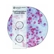 Cryptosporidium control slides